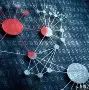 官方网站-包含开发者社区动态显示，公链推动金融数字化进程的词条