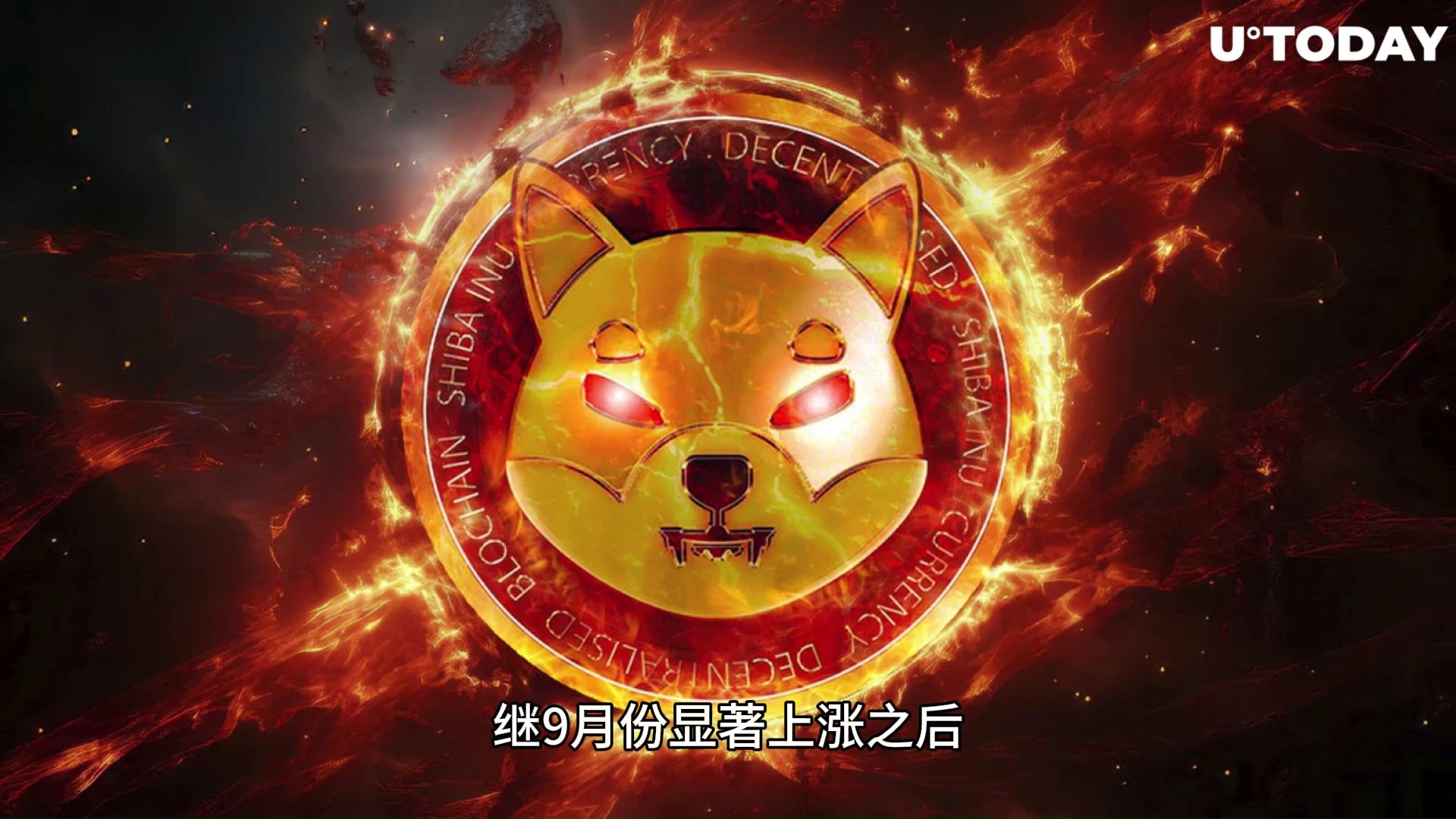狗狗币上扬势惊人，一夜飙升SHIB%，加密市场沸腾